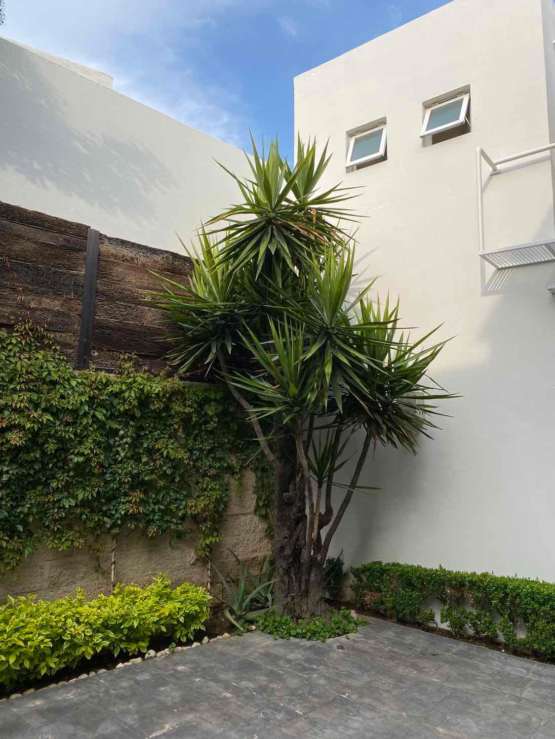 Casa en renta en punta del este